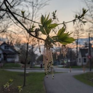 Meet your Posher, Cassandra